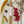 Load image into Gallery viewer, Equinox (Toasted Pumpkin Spice) Incense