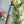 Authenticity *Signature Fragrance* Incense