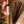 Kindness Incense