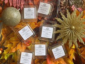 Fall and Holiday Single Wax Melt Sample