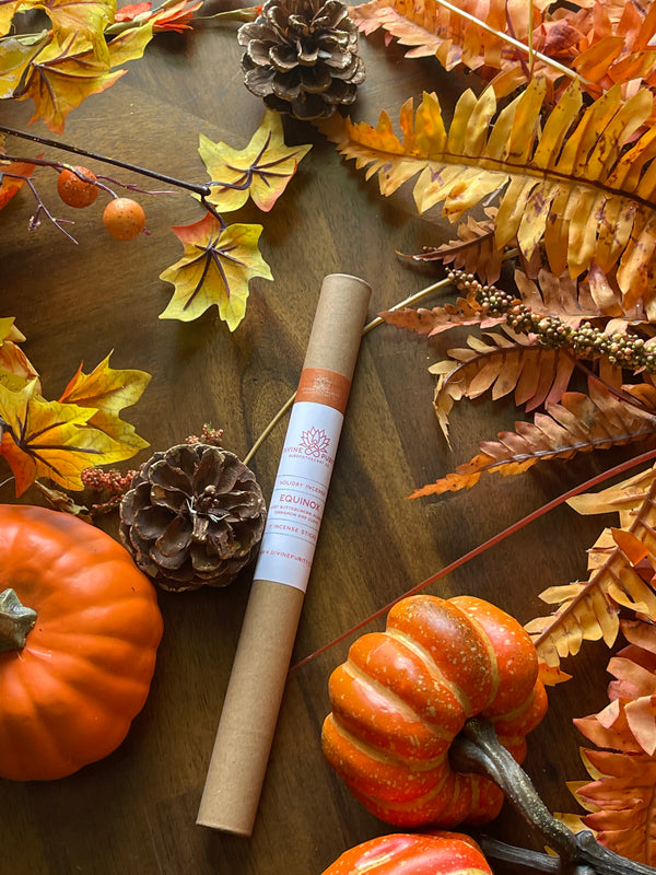 Equinox (Toasted Pumpkin Spice) Incense