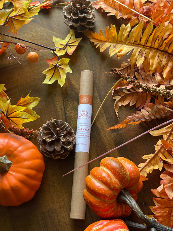 Harvest (Apple Cinnamon Spice) Incense